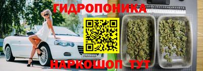 гидра Изобильный
